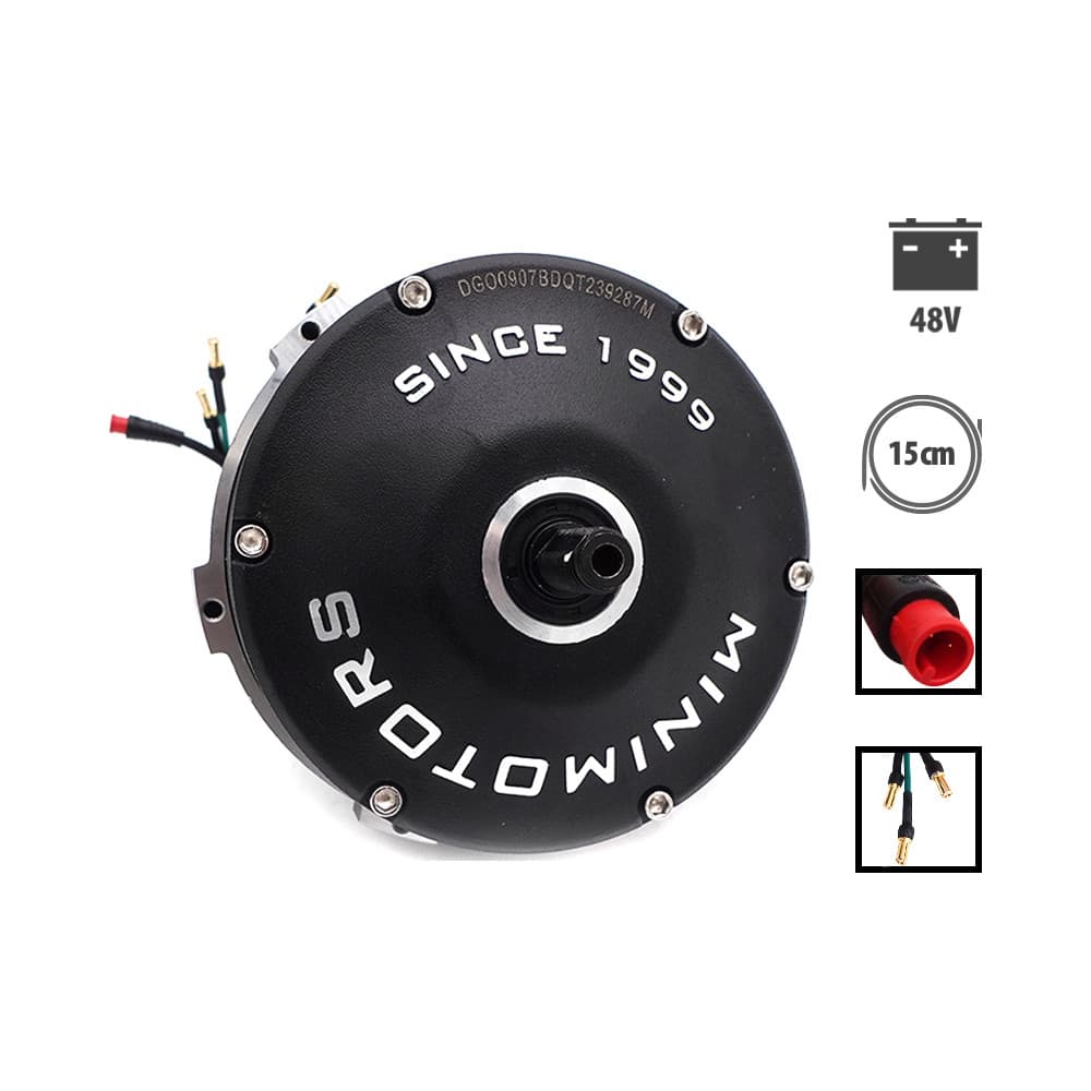 Dualtron Togo 48v motor