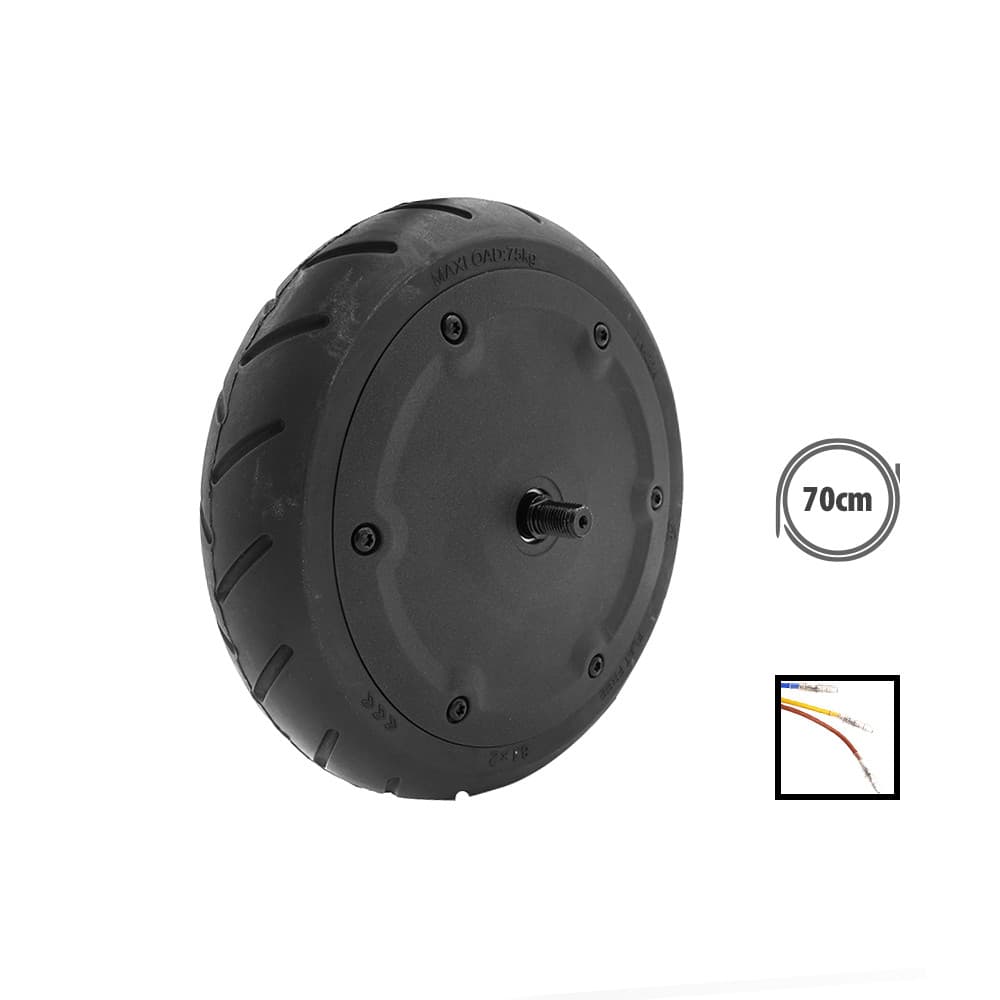 Ninebot E2 motor